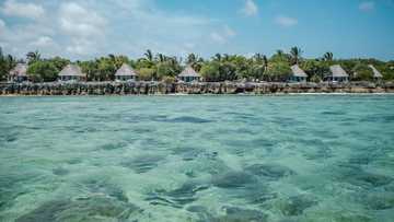 Tanzania tourism suffers after election killings