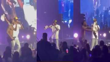 Black Sherif shuts down Naija as he joins Burna Boy on stage during concert in video