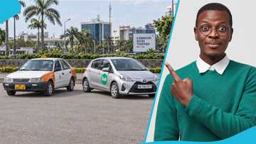 Bolt or taxi: What drivers should know before choosing one