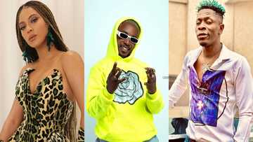 Another win for Ghana as Dancegod Lloyd and crew feature in Already video