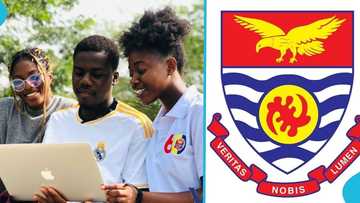 UCC students brag as school is named the best uni in GH: "We are the school of competitive choice"