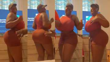 Eii presidential body - Kumawood star Maame Serwaa gets fans talking as she dances in a short skirt in latest video