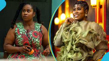 Lydia Forson cries out about the number of tomatoes and onions she bought for GH¢10 and GH¢2, photos