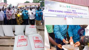 Photos drop from Akufo-Addo's visit to Western North Region; commissions GH¢6.7m rice factory under 1D1F