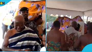 Ghana Election 2024: Otumfuo casts his vote, gets a rousing welcome, Napo accompanies him