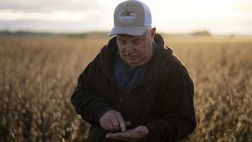 US soybean farmers battered by trade row with China