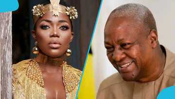 Mzbel sets tongues wagging as she confesses her feeling for Mahama