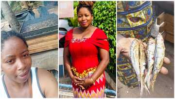 Ghanaian girl who gave birth at 15 still makes it, now law student, teacher & fishmonger