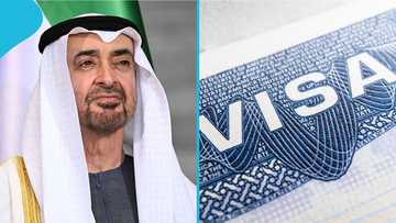 Dubai names 4 family members foreigners can sponsor for residence permits