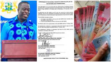 Minimum wage: New daily wage now GH¢14.88; Government workers to get 15% COLA