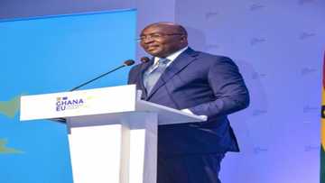 Nigeria needs a Veep like Bawumia to grow the economy - Nigerian writer
