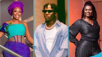 2020 video of Delay predicting Ayisha Modi and Stonebwoy's fallout surfaces, peeps react
