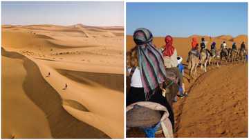 Sahara Desert, Kalahari Desert and other amazing deserts in Africa