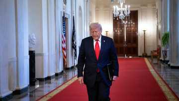 Trump orders critical minerals probe that may bring new tariffs