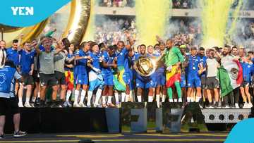 Chelsea beat PSG to win FIFA Club World Cup: full list of domestic world champions