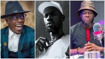 Bulldog Advises Shatta Wale to Beg Black Sherif for a Collaboration; Comment Sparks Massive Reactions Online