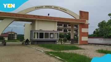 Asuoso SHS student stabs teacher after being confronted for loitering