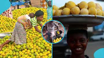 Woman caught on camera dyeing oranges in colour solution, raising health concerns online