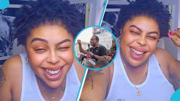 Afia Schwarzenegger jubilates over Wontumi's EOCO woes: "God bless John Mahama"