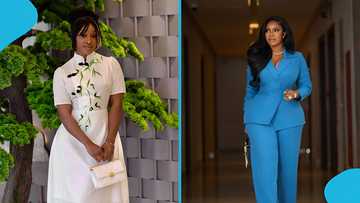 Mixed reactions as Efia Odo sends strong message to Serwaa Amihere over fake bags talk