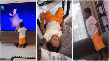 Davido’s son scatters his tastefully furnished living room, stands on over GH¢1m TV as he watches cartoon