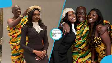 List of businesses where Tobinco's newly qualified lawyer daughter Abigail holds key roles