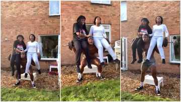 Macho man carries 2 sisters on heavy weight bar as they dance on his shoulder, video goes viral