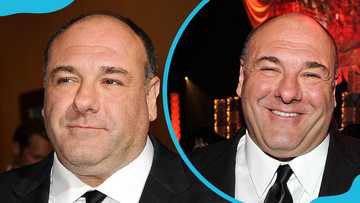 A breakdown of James Gandolfini's net worth and how he built his wealth before death