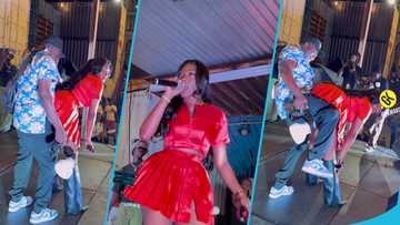 Sefa drags a photographer on stage at DMV Party In The Park, he grinds her seriously in video