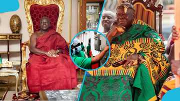 Video of Otumfuo’s fruit processing factory surfaces online, wows Ghanaians