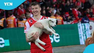 Footballer gets 'baby sheep' as top prize for winning MOTM Award