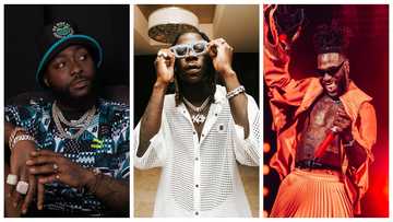 Stonebwoy smartly disagrees with Davido, earns praise on Twitter: "Burna Boy is not a new cat to me"