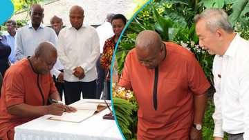 Singapore honors Mahama by naming unique flower after him