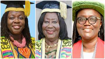 Female history makers in academia: 5 women who were 1st to hold high positions at top universities in GH