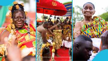 Asantehemaa Nana Yaa Konadu Yiadom III walks slowly to greet Otumfuo, Gets standing ovation