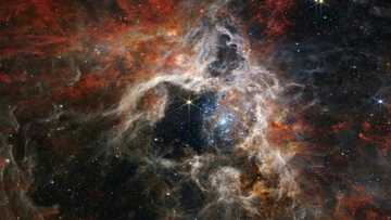 NASA's Webb catches Tarantula Nebula