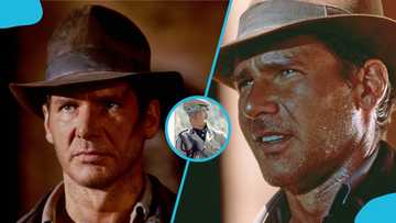 Hollywood mourns as beloved Indiana Jones and Harry Potter actor dies at 82