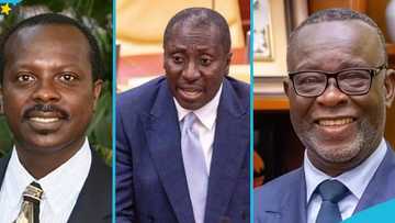 Prof Kwaku Asare slams Minority for boycotting Chief Justice nominee's vetting