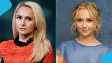 "A fatal pill": Fans express anger as popular actress Hayden Panettiere’s suspected cause of death emerges