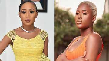 Fella Makafui reports Akuapem Poloo to police; actress tells full story in new video