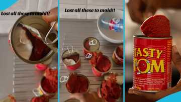 Ghanaian lady calls out Tasty Tom over alleged spoilt tomato paste