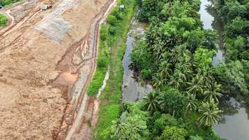 Philippines biodiversity hotspot pushes back on mining