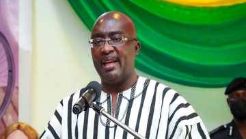 All NDC knows is propaganda; NPP has credible facts and data – Bawumia