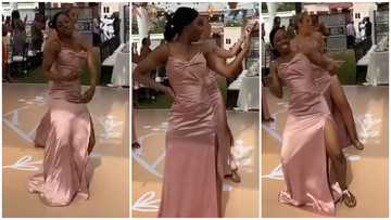 They killed it: Pretty ladies in skintight dress display stellar dance moves at wedding; videos delight many