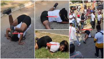 Shatta Wale: Thick curvy GH lady head spins, shakes bumbum seriously on street to promote Shaxi business, video excites adult fans