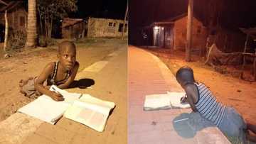 Heartbreaking photos of boy doing homework using street light go viral; well-wishers rally support for him