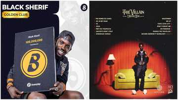 Black Sherif: BET and MTV nominations and other huge achievements of the budding rapper