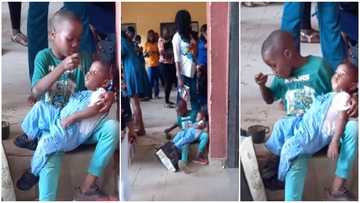 Boy licks spoon like a mother in video & feeds his crying little sister in school while mum took quiz