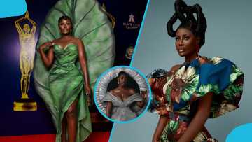 Nana Akua Addo stirs reactions with cryptic post on professional career