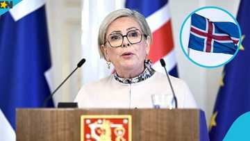 Iceland lists 2 serious reasons for expelling foreigners with permanent residence permits